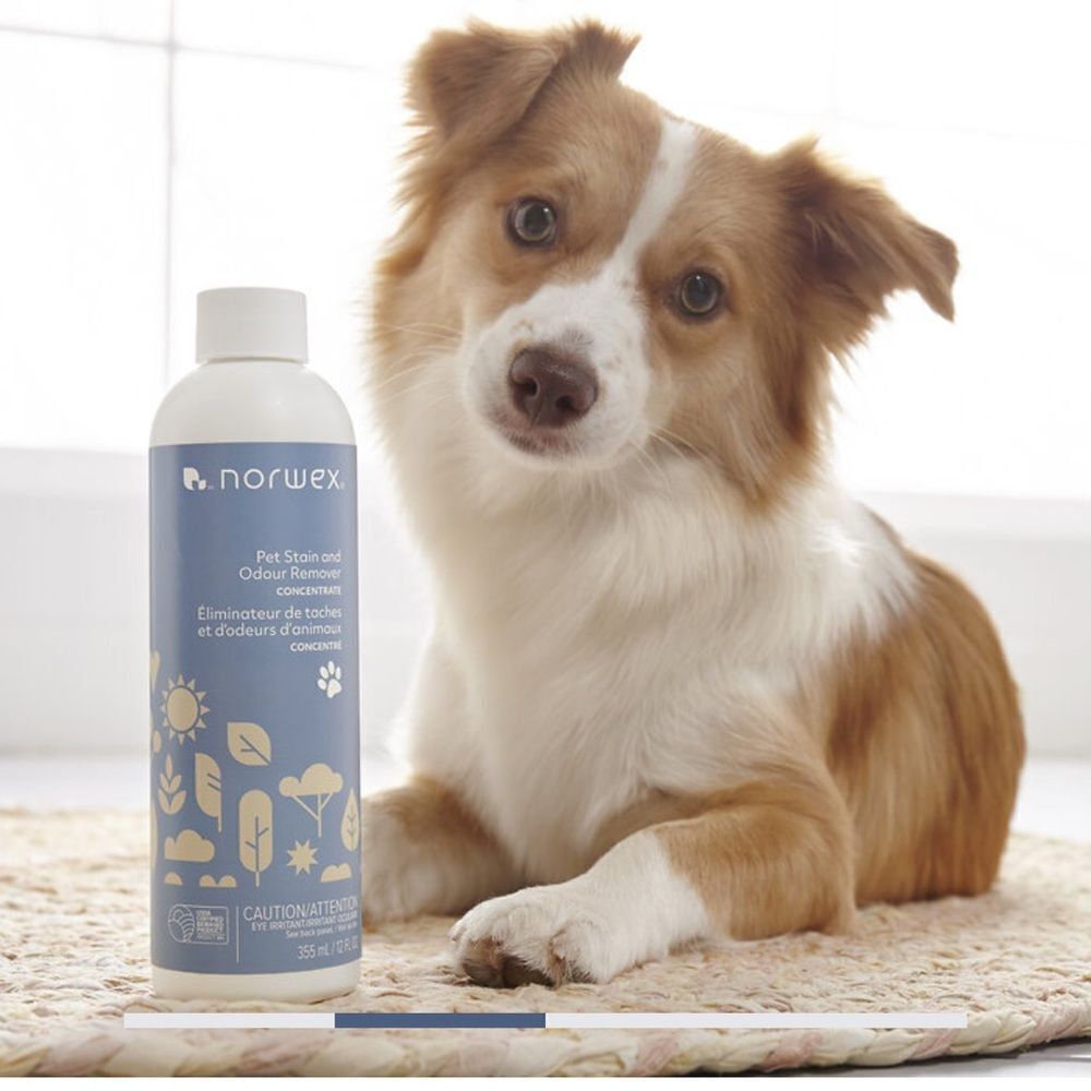 Norwex Pet Stain and Odour Remover Concentrate NWT